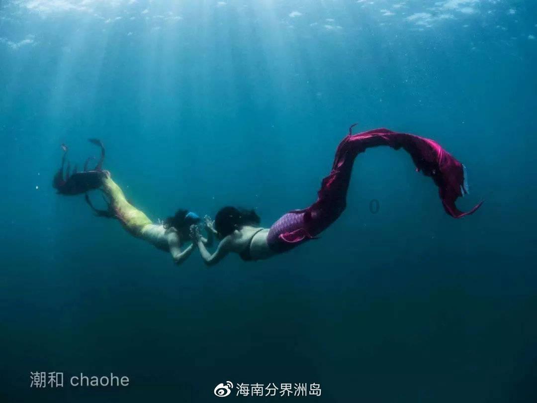 国家魔法森林逃亡